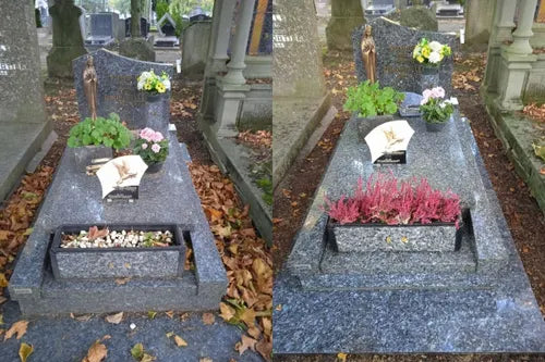 Forfait nettoyage + fleurissement